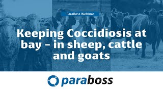 Keeping Coccidiosis at bay  in sheep cattle and goats [upl. by Kubiak]