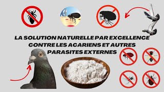 La solution naturelle par excellence contre les acariens et autres parasites externes [upl. by Millicent171]