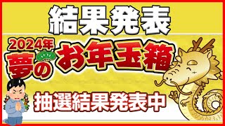 【2024年福袋】今年の運の集大成！【ヨドバシドットコム】 [upl. by Hay]