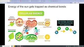 AP BIO 31 to 33 [upl. by Berfield]