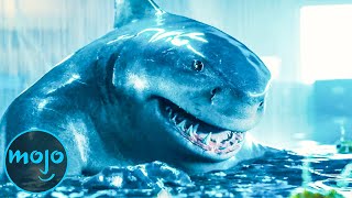 Top 10 Best King Shark Moments [upl. by Ennayllek]