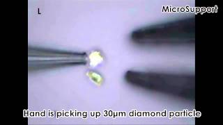 Video Showing Basic Functions of Micro Support Micromanipulators [upl. by Tabina]