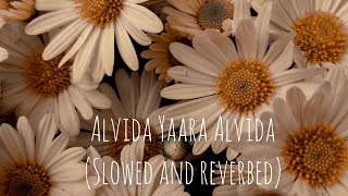 Alvida yaara alvida songslowedreverbed💜 [upl. by Christan]