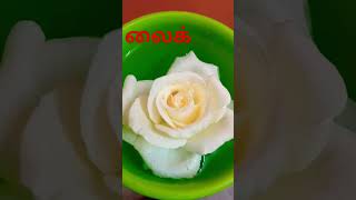 rosapoo chinna rosapoo music love vivasayee [upl. by Inalem911]