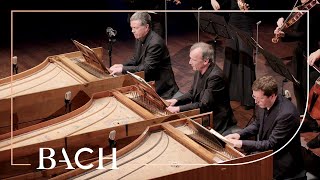 Bach  Concerto for three harpsichords in D minor BWV 1063  Mortensen  Netherlands Bach Society [upl. by Ayimat]