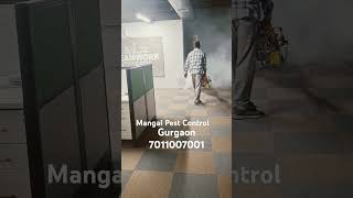 Mangal Pest Control Gurgaon automobile pestcontrol pestcontrolhatirpool pest trending viral [upl. by Ayarahs]