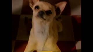 Retro Kibble N Bits Bacon N Cheeez Dog Food Commercial 90s [upl. by Adnor]