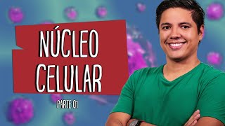 NÚCLEO CELULAR  Parte 01  Prof Kennedy Ramos [upl. by Rogergcam26]