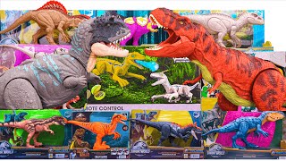 Unboxing Jurassic World Toy Collection ASMR Giant TRex RC Dino Raptor Indominus Rex Spinosaurus [upl. by Blakelee]