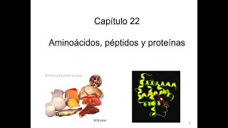 Clase Aminoácidos Parte 1 [upl. by Pacheco]