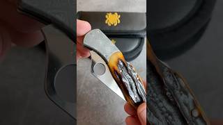 Unboxing the Spyderco Delica 25th anniversary edition and the Spyderco Worker edc everydaycarry [upl. by Ydnic]