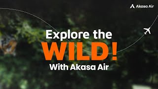 Explore Wildlife with Akasa Air Flights to Mumbai Delhi Guwahati amp Kochi [upl. by Isbella]