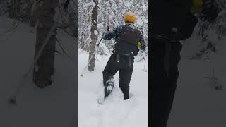 You NEED to Start Snowshoeing winter outdoors hiking snow [upl. by Haroun472]