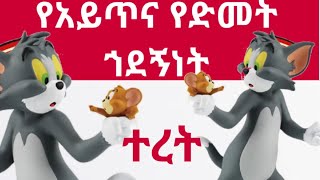 የአይጥና የድመት ኀደኝነት ተረት ተረት በአማርኛ አዲስ teret teret amharic new teret teret ተረት ተረት amharic story [upl. by Nosam]