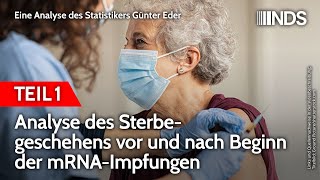 Analyse des Sterbegeschehens vor und nach Beginn der mRNAImpfungen – Teil 1  Günter Eder  NDS [upl. by Namref]