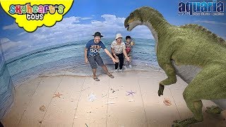 Meeting DINOSAURS for the first time  Skyhearts toys dinosaurs for kids toys [upl. by Ennovad834]