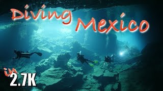 Diving Mexico Cenotes Halocline amp Whale Sharks included [upl. by Diley]