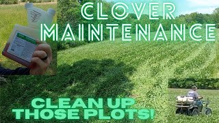 Spring Clover Plot Maintenance  Spraying Clover  Food Plots [upl. by Mcnamee603]