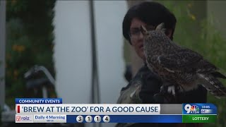 Brew at the Zoo for a good cause [upl. by Rutger]