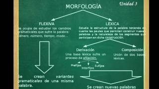 Introducción a la Morfología [upl. by Anirok]