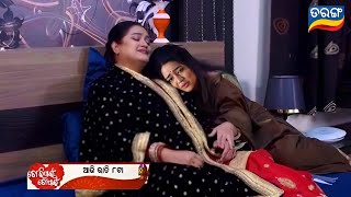 Tori Pain To Pain  16th Dec 2024  Episodic Promo  502  Tarang Tv  Odia Serial Review [upl. by Lexis]