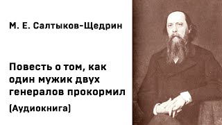 М СалтыковЩедрин quotПовесть о том как один мужик двух генералов прокормилquot [upl. by Almond891]