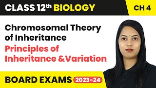 Chromosomal Theory of Inheritance  Principles of Inheritance and Variation  Class 12 Biology Ch 4 [upl. by Frolick]