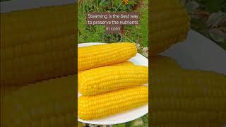 Cooking sweetcorn the healthiest and safe way boiled steamedcorn amazingcountrylife healthyfood [upl. by Freda]