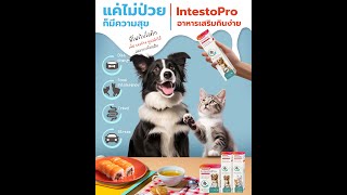 IntestoPro​ beaphar dogs​ cats​ khunnat [upl. by Ploss]