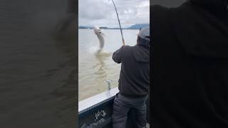 Canada is home to MONSTERS wow fishing fish canada giant [upl. by Rohclem]