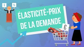 Lélasticitéprix de la demande [upl. by Werdnael960]