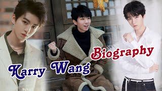 Brief Biography of Karry Wang 王俊凯 Chinese Actor [upl. by Werd635]