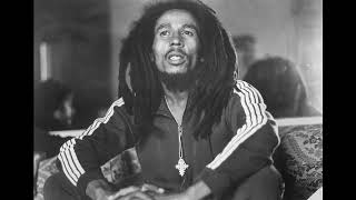 bob marley and the wailers Ambush In The Night instrumental alt 1 [upl. by Sherye]