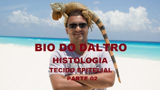 HISTOLOGIA  TECIDO EPITELIAL  PARTE 02 [upl. by Tepper]