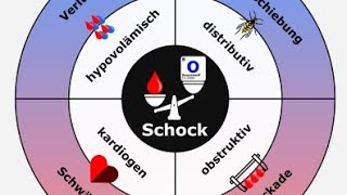 Schock Schockformen einfach erklären [upl. by Knowle]