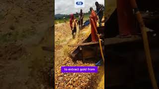 Africas GOLD MINE viralvideo facts gold goldmines shorts video [upl. by Brinson]