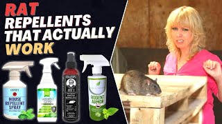 Best Rat Repellent Spray How to Get Rid of Rats in House Fast  Top Repellents [upl. by Aneahs]