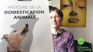 Interview 4 de Valérie Chansigaud  quotla domestication rend moins intelligentquot [upl. by Yttap]