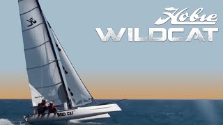 Rare footage of a Hobie Wildcat at Wildwind [upl. by Ludvig937]