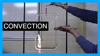 Convection Current  GCSE Physics Practical [upl. by Elburr]