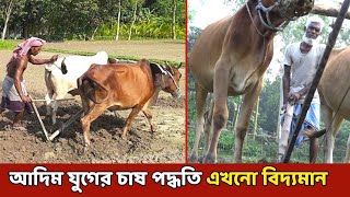 আদিম যুগের সেই পুরনো লাঙ্গলের হাল  That old ploughshare of primitive times [upl. by Love]