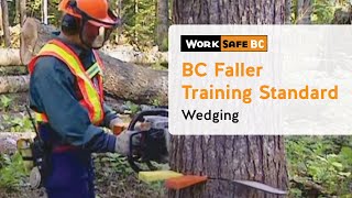 BC Faller Training Standard  Wedging 9 of 17 [upl. by Bounds]