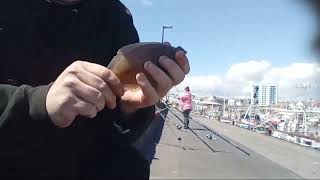 Bridlington harbour fishing the best bits [upl. by Nahtaneoj]