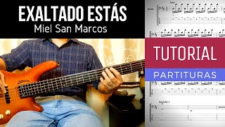 EXALTADO ESTÁS  MIEL SAN MARCOS  BAJO TUTORIAL  TABS Y PARTITURAS [upl. by Gnav109]