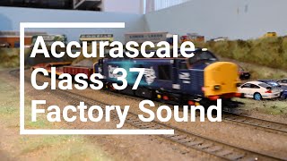 Accurascale Class 37 Factory Fitted DCC Sound [upl. by Anaerol788]