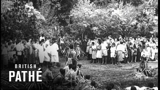 Hibiscus Festival In Suva Fiji 1963 [upl. by Quintina]