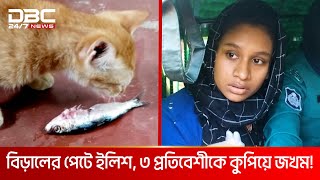 বিড়ালে মাছ খাওয়া নিয়ে তুলকালাম বরিশালে  DBC NEWS Special [upl. by Ttayh599]