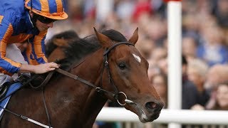 Churchill  Tattersalls Irish 2000 Guineas [upl. by Choong]