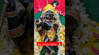 Mere prandhan 🙏youtubeshorts radharaman love radharamanam radheshyam vrindavan yttrending [upl. by Mit615]