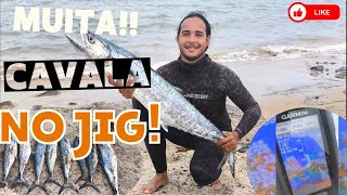 muita cavala no jig a sonda deu erro de tanto peixe 🐟 [upl. by Earley]